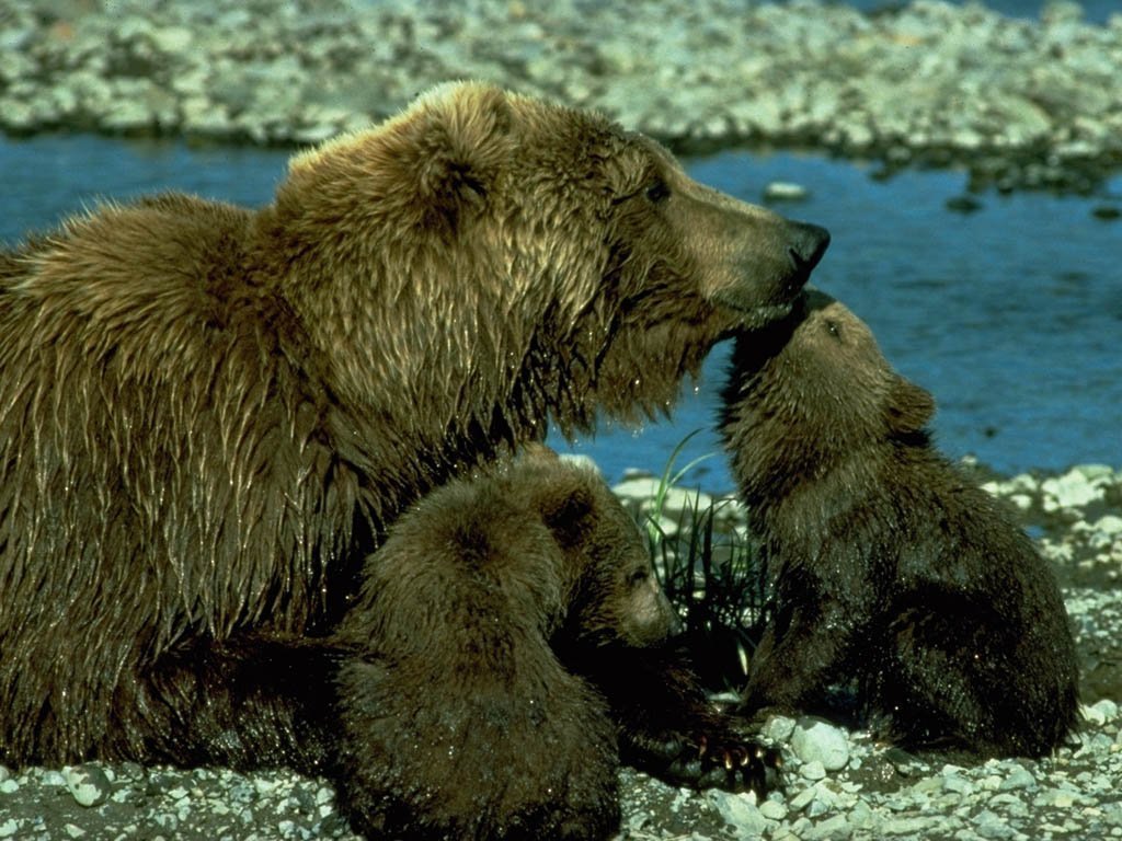 Ours - 041